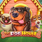 Betify Jackpot dans la niche