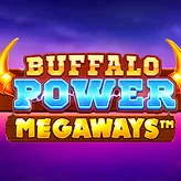 Betify Force animale pour gros gains